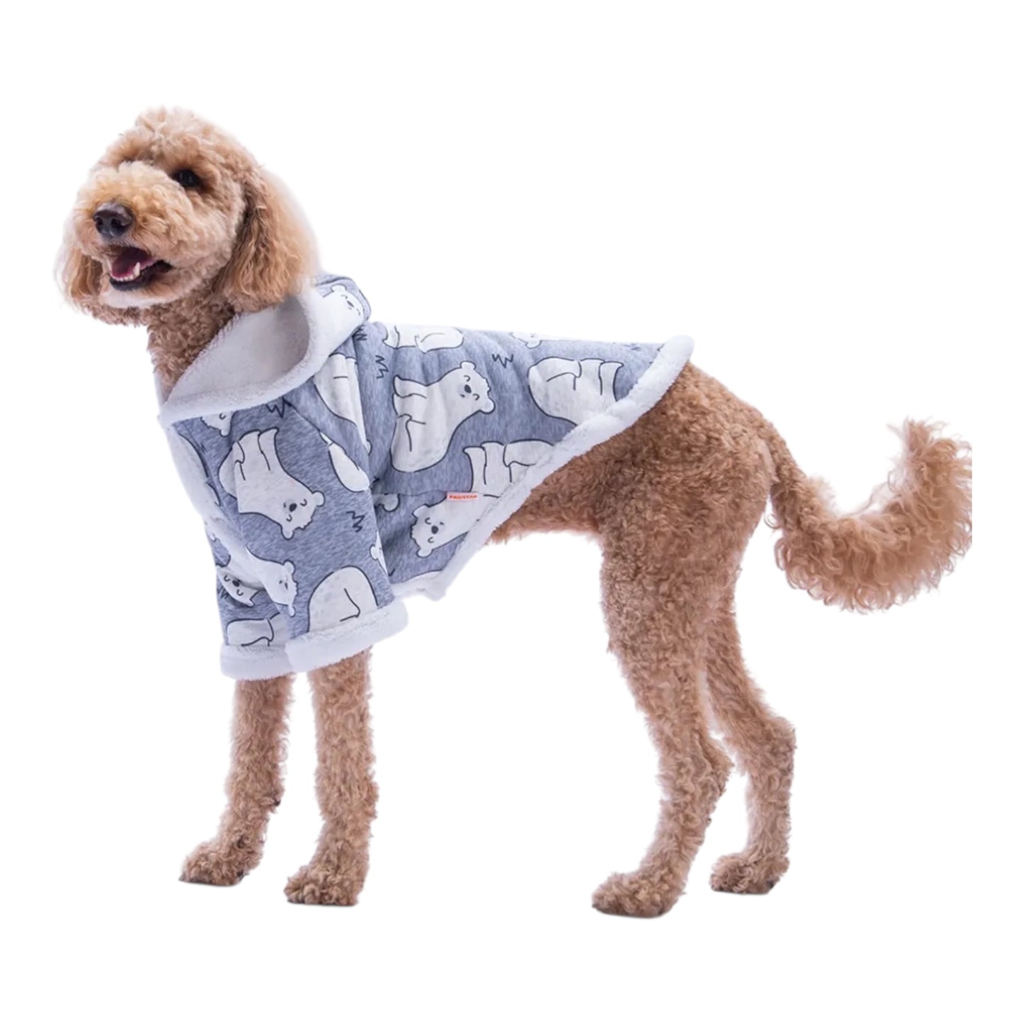 Arctic Snuggles Hoodie