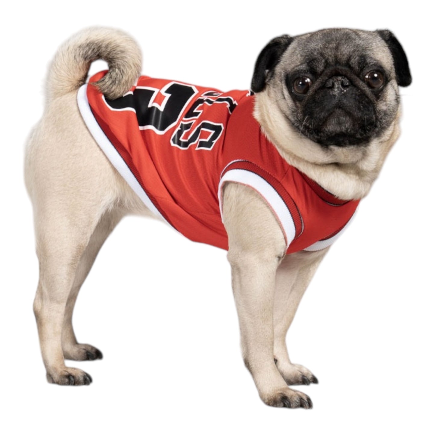 Chicago Bulls Jersey