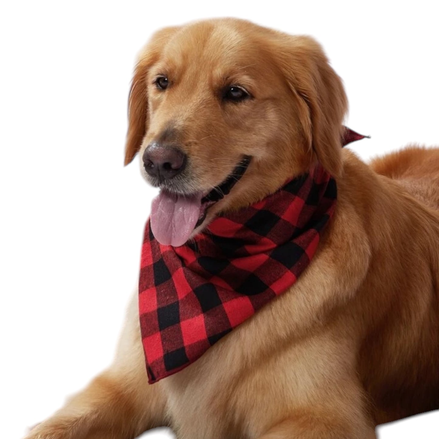 Red Rush Bandana