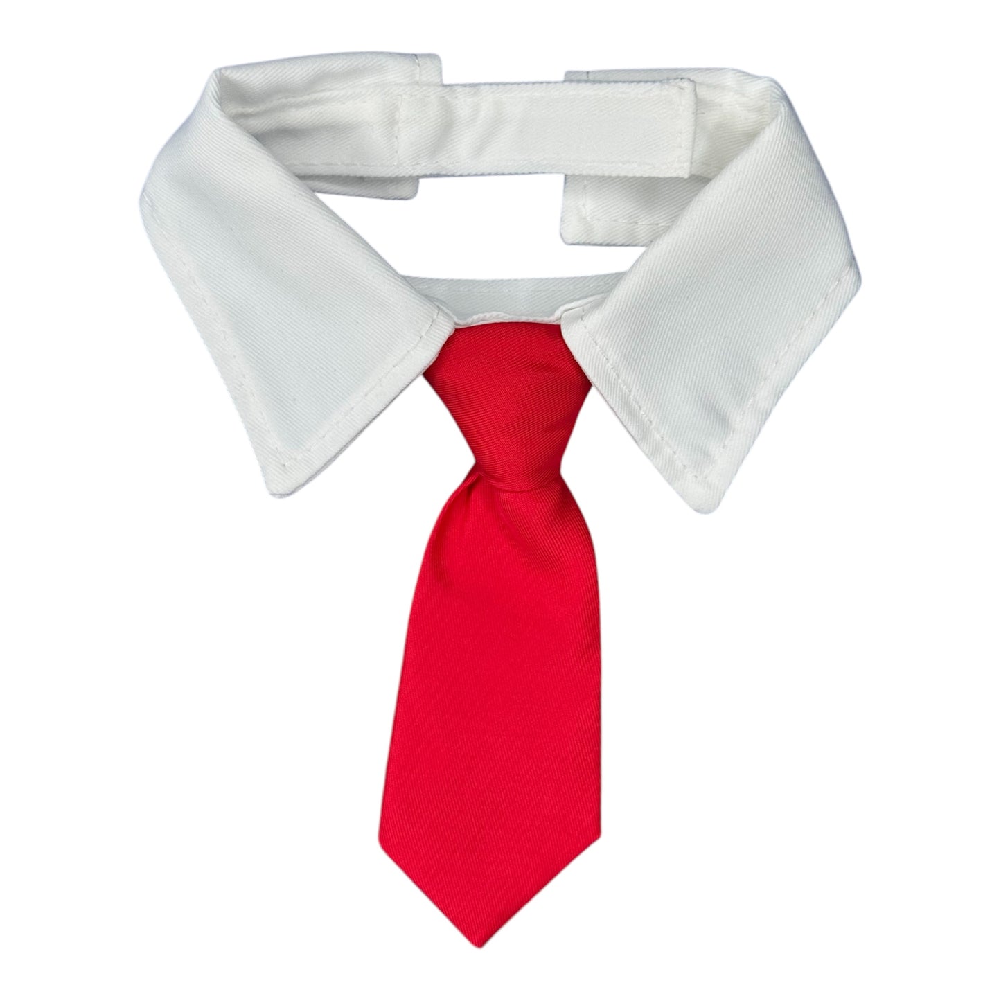 Red Tie Pulse
