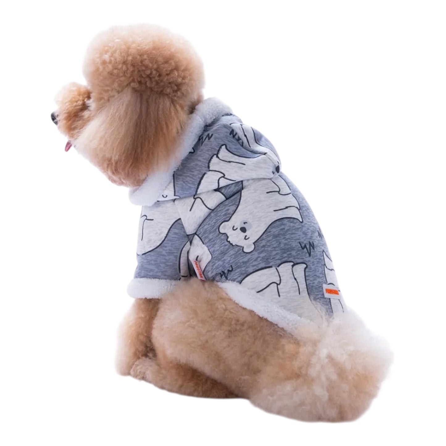 Little Arctic Hoodie