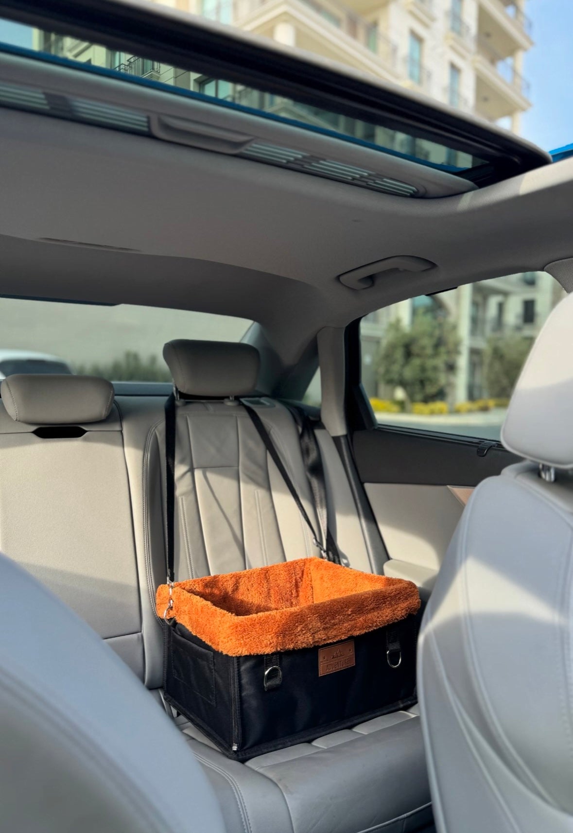 Cruise Comfort - Pet Car Seat