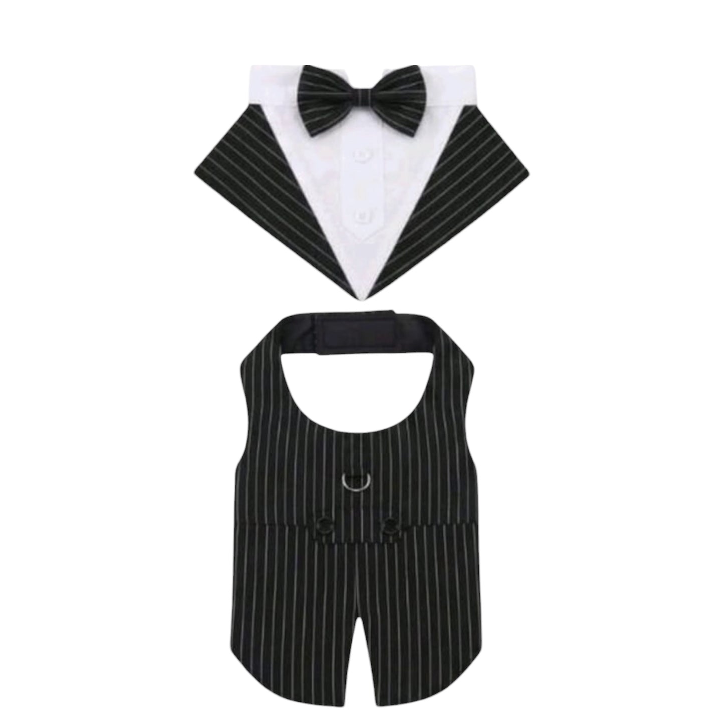 The Gentleman Suit