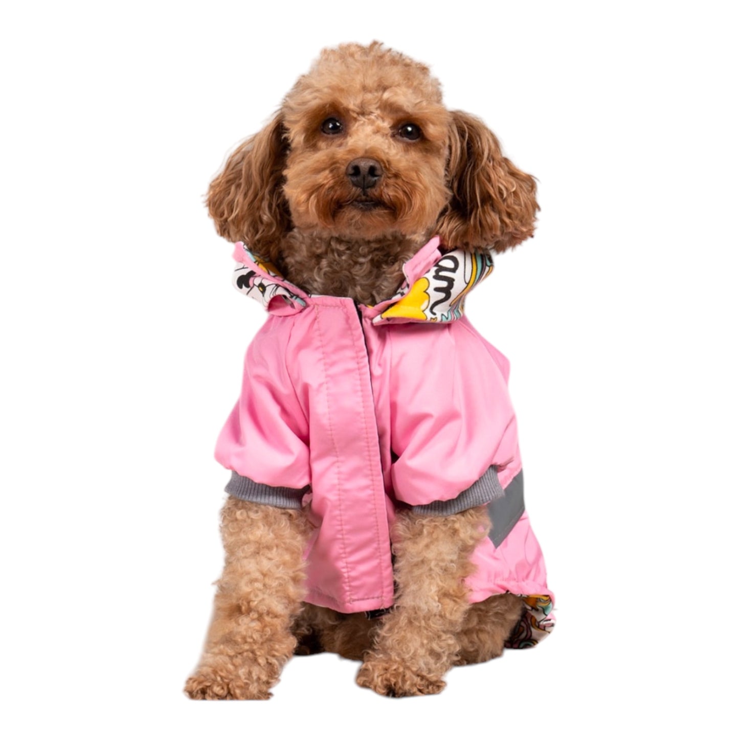 Haute Hound Raincoat