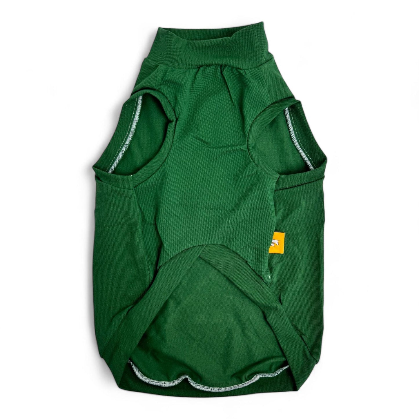Bearly Skiing Shirt