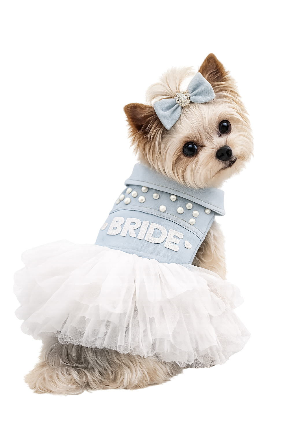 I Do Denim Dress