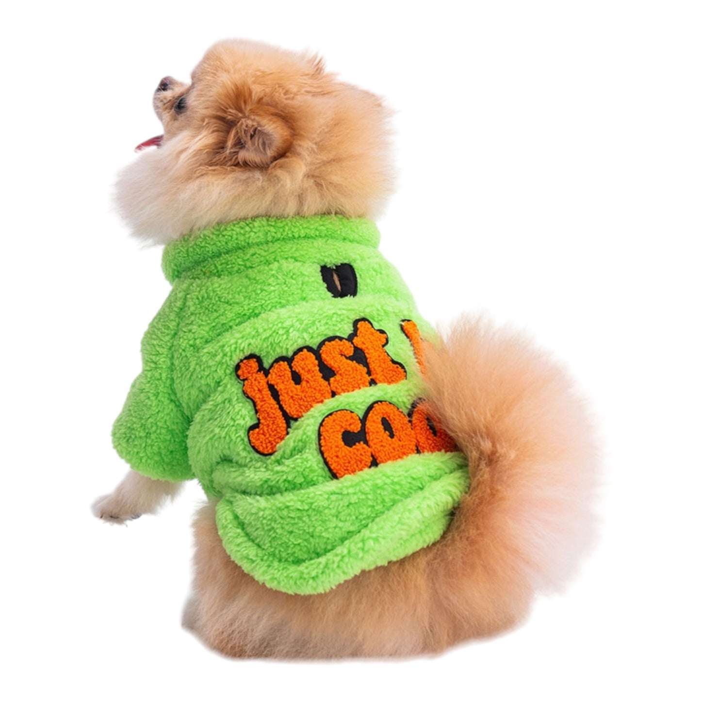 Just Be Cool Sweater.
