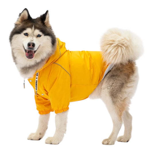 Lemon Drop Raincoat