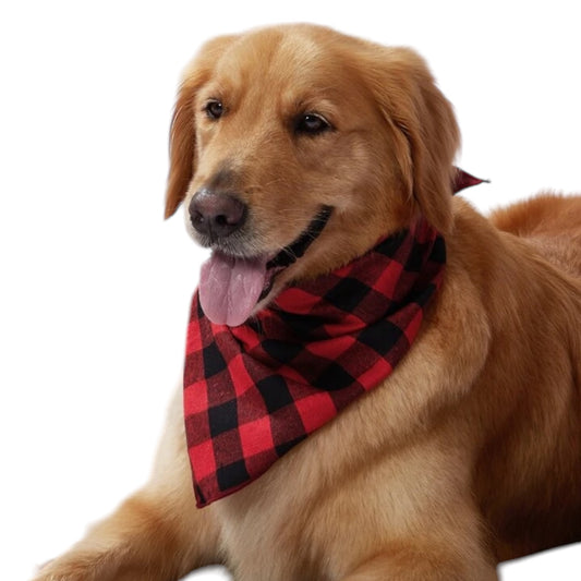 Red Rush Bandana