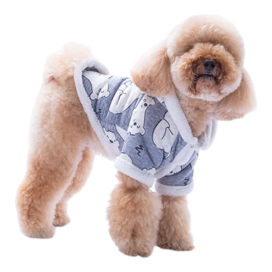 Little Arctic Hoodie