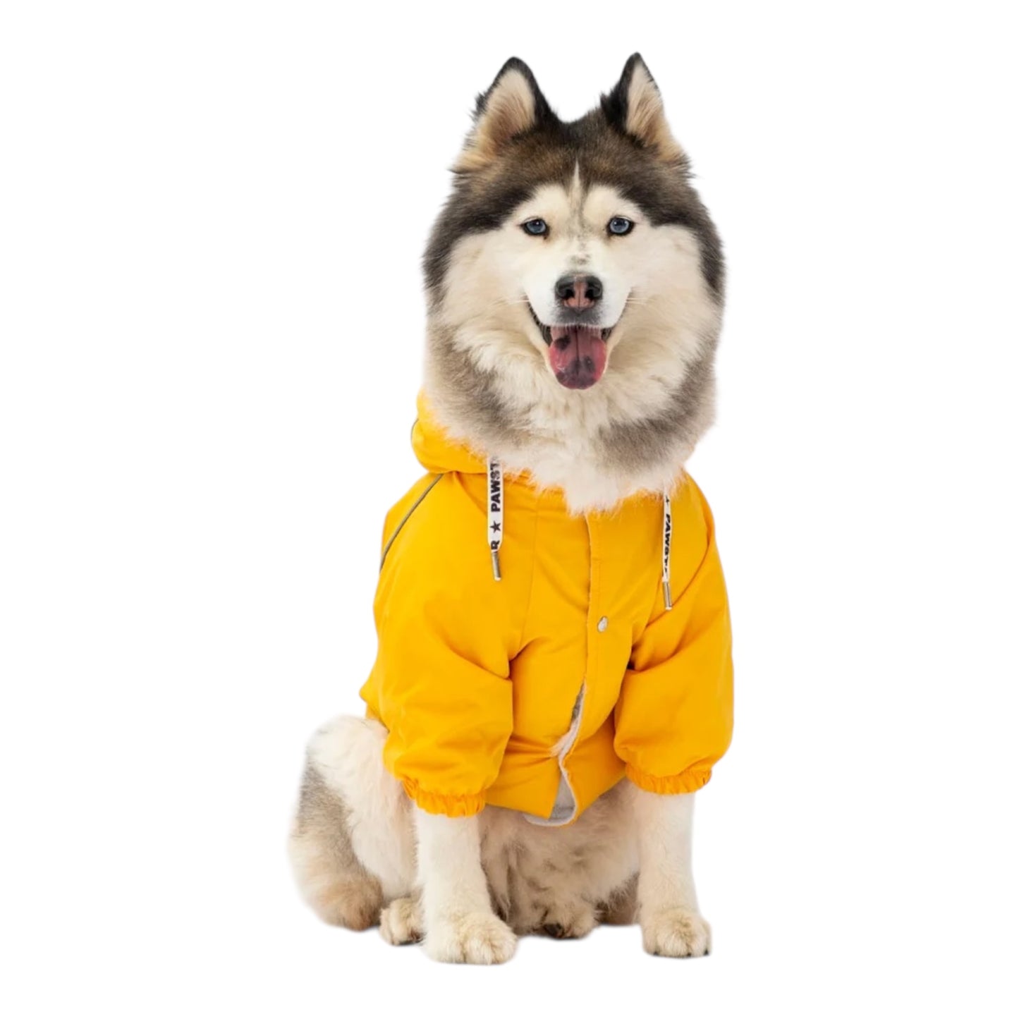 Lemon Drop Raincoat
