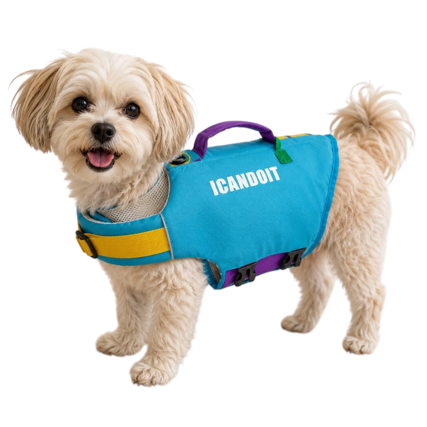 I Can Do It Life Jacket