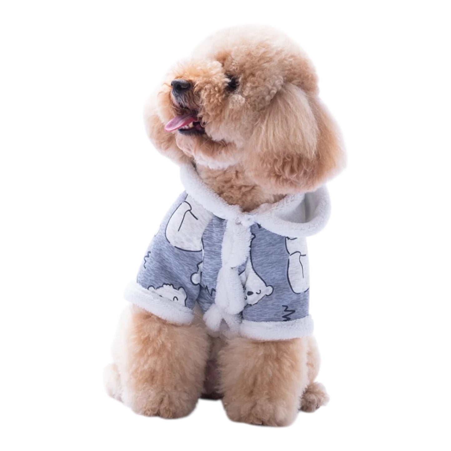 Little Arctic Hoodie