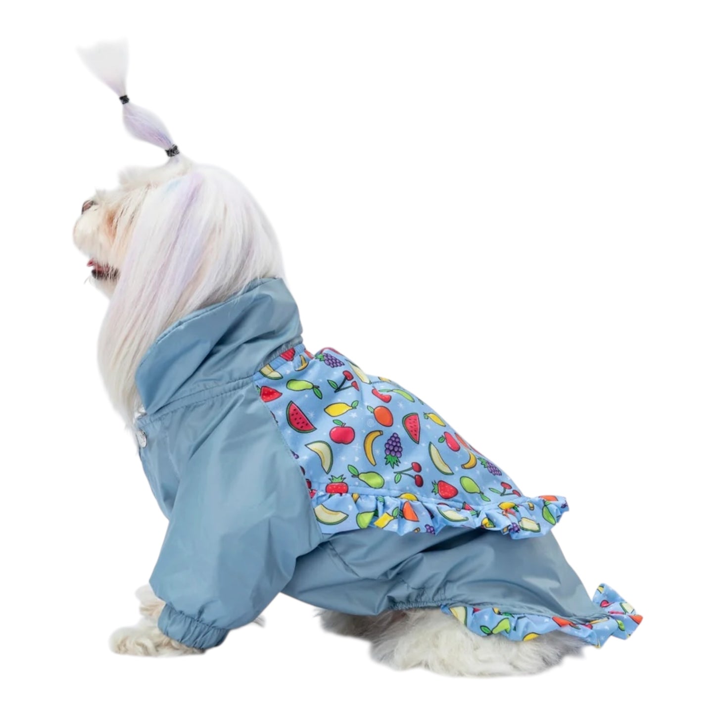 Fruity Boo Raincoat