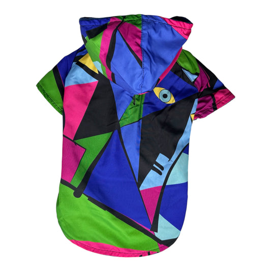 Puddle Painter Raincoat