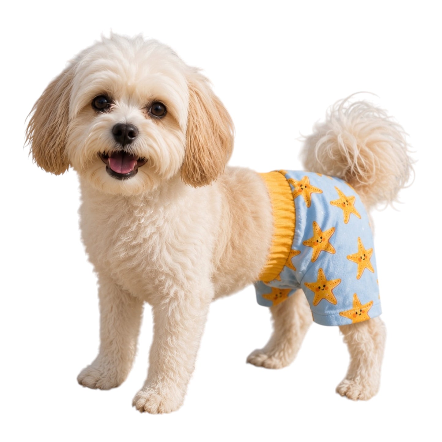Starfish Splash Swimsuit