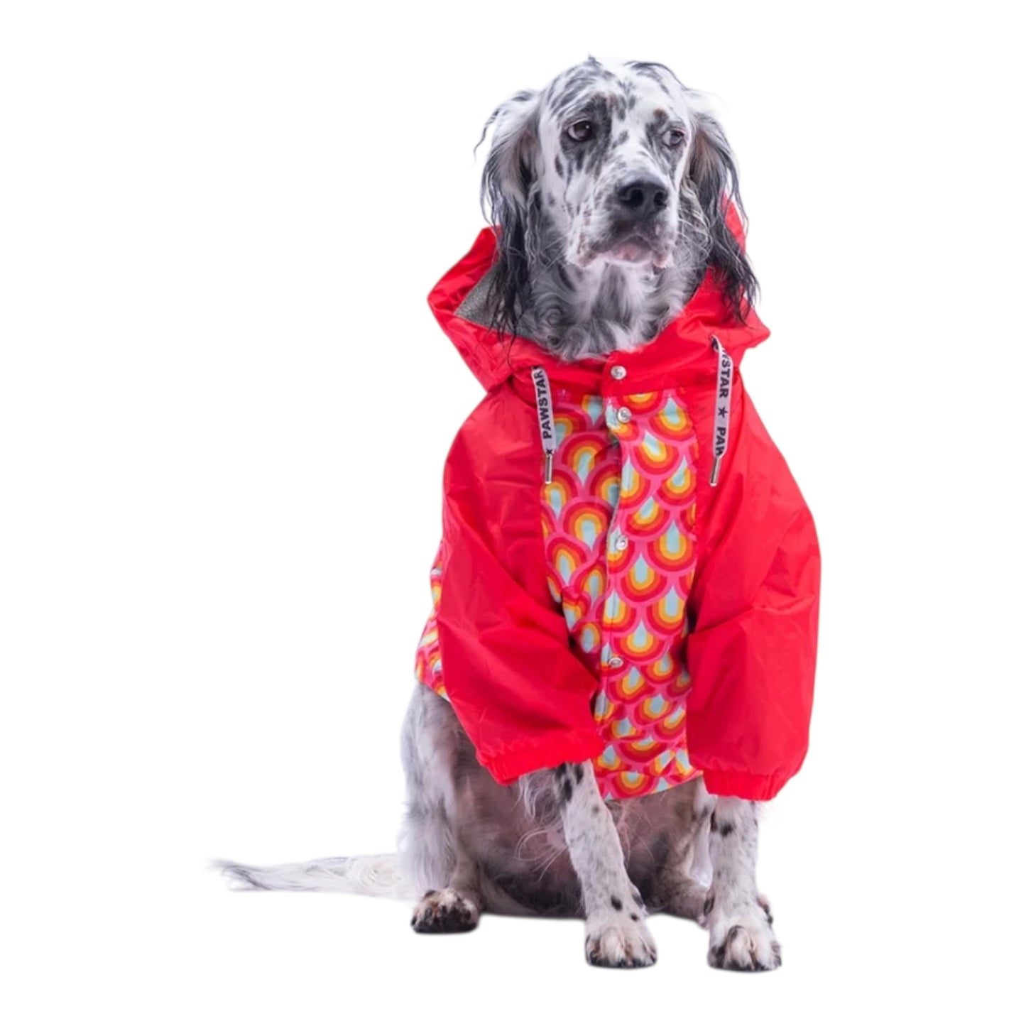 Red Muffin Raincoat