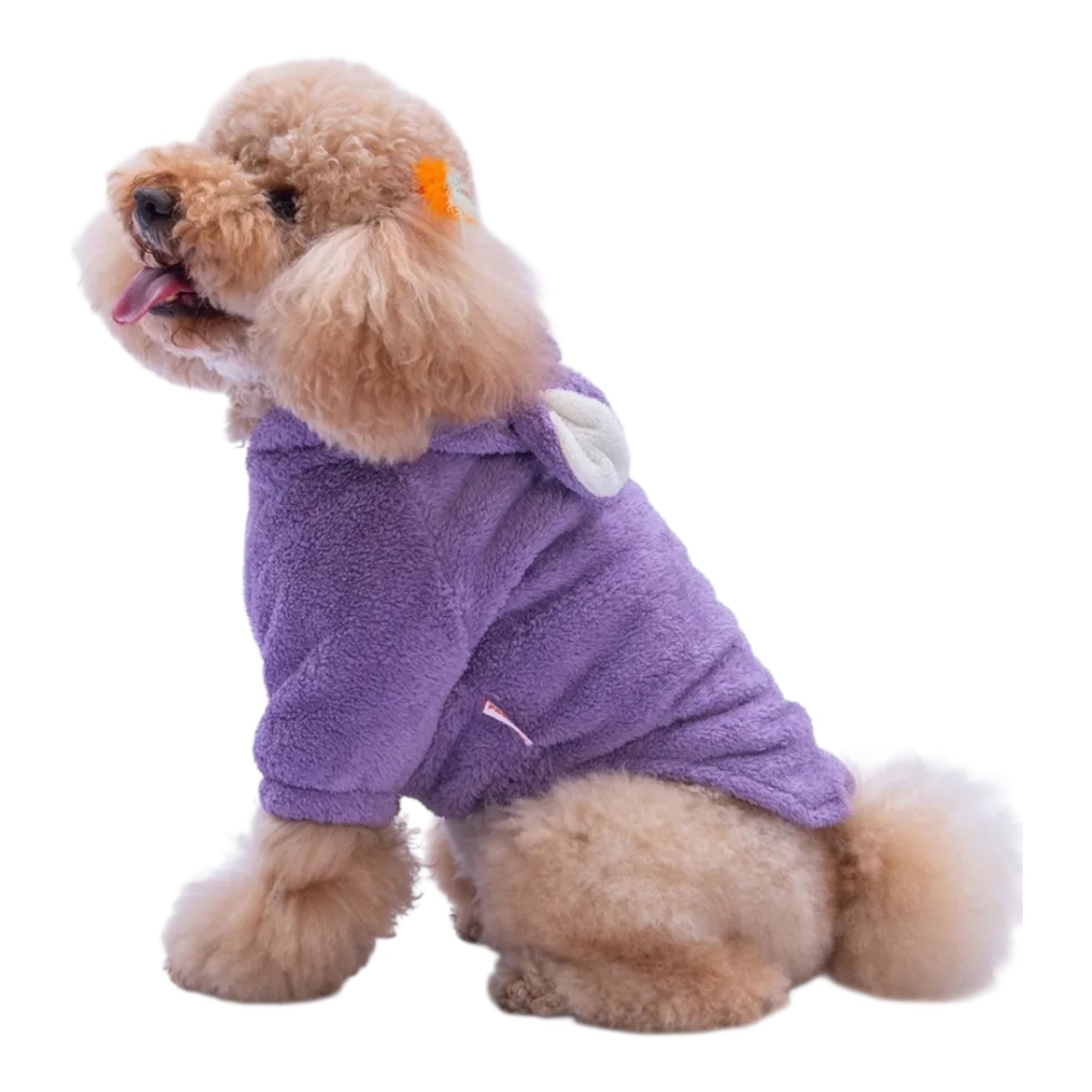 Bearberry Hoodie