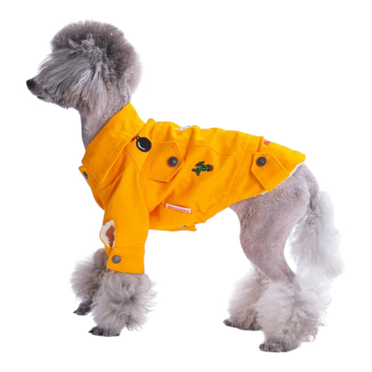 Snug Adventure Sweater