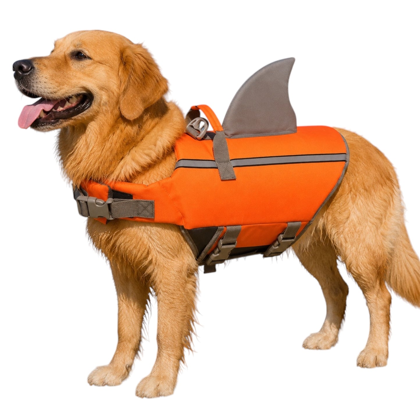 Shark Fin Life Jacket