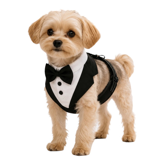 The Best Man Harness
