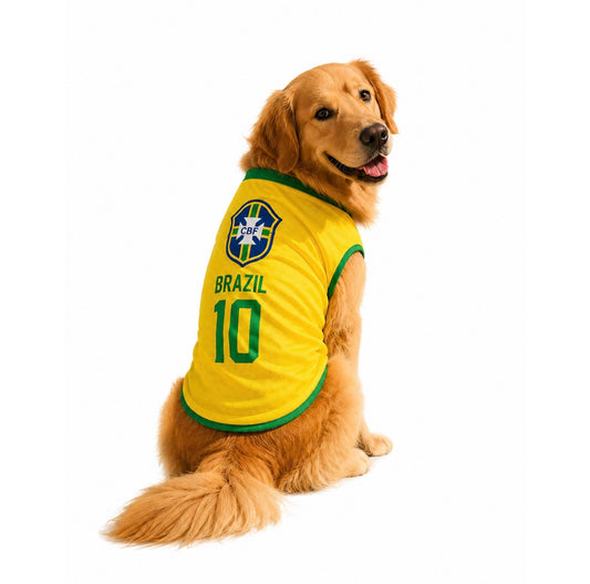 Brazil Jersey