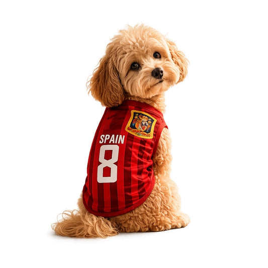 Spain Jersey