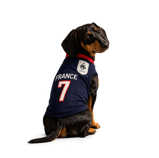 France Jersey