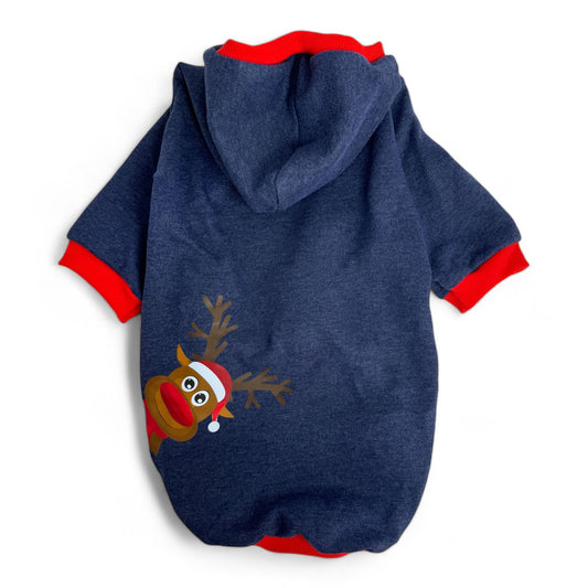 Rudolph's Glow Hoodie