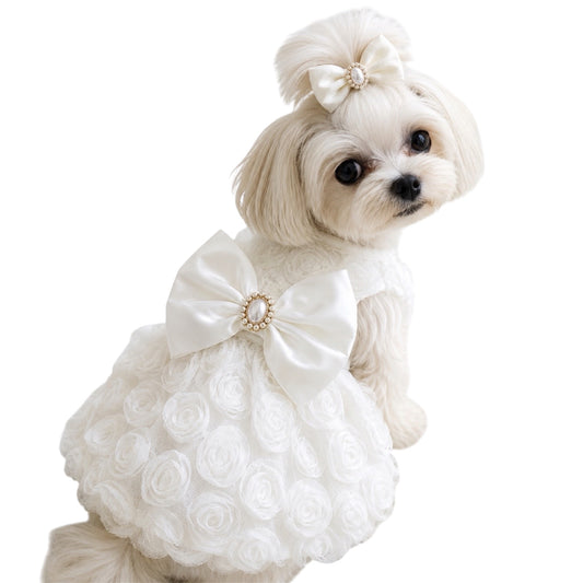 Pearl Petals Dress