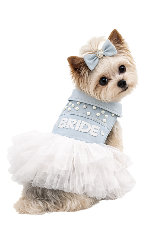 I Do Denim Dress