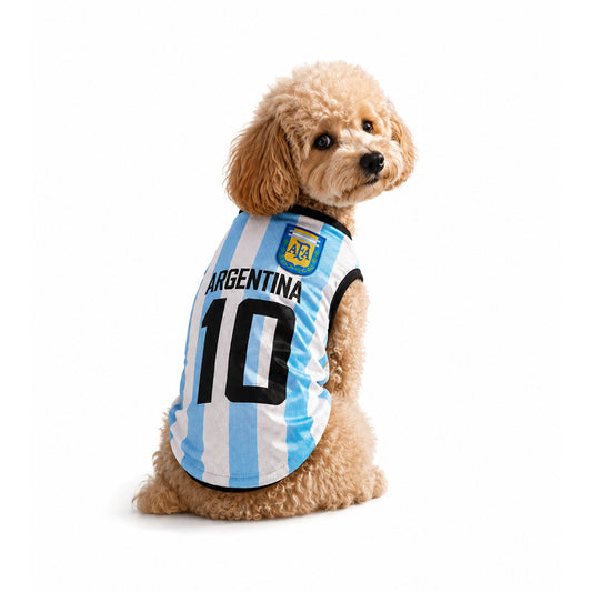 Argentina Jersey
