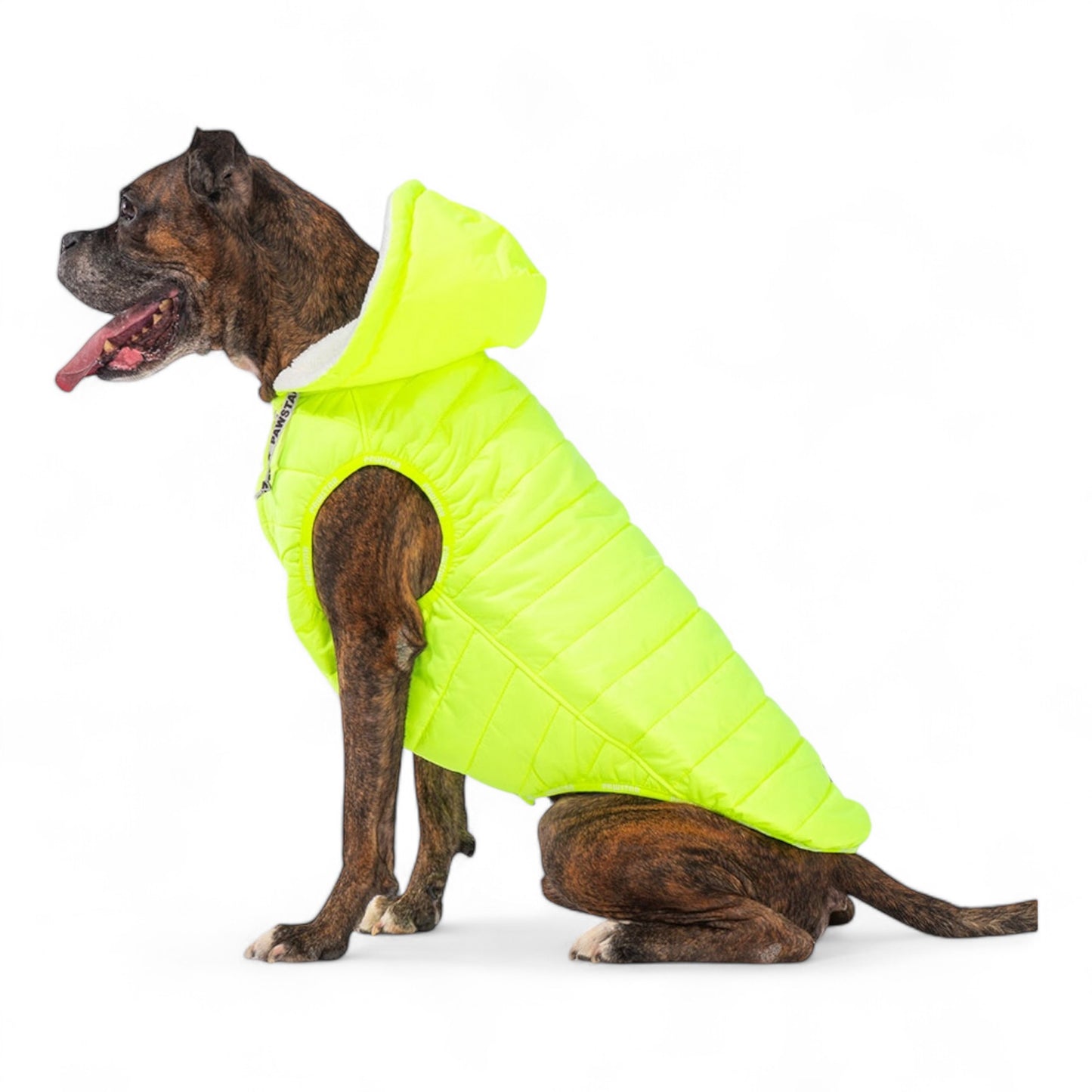 Neon Sleeveless Raincoat.