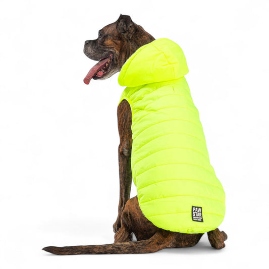 Neon Sleeveless Raincoat.