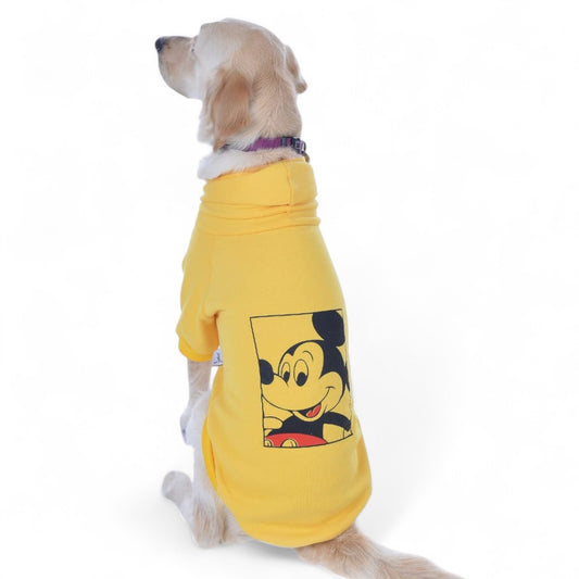 Mickey Pop Hoodie