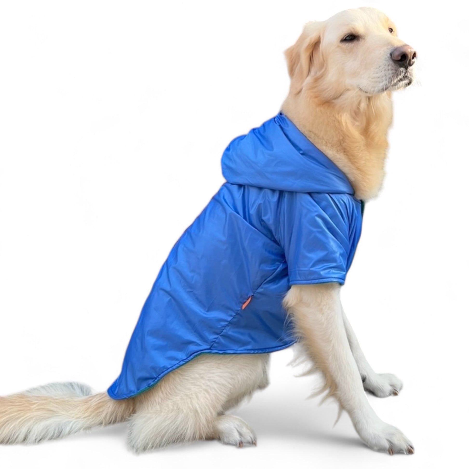 Pup-Proof Raincoat.