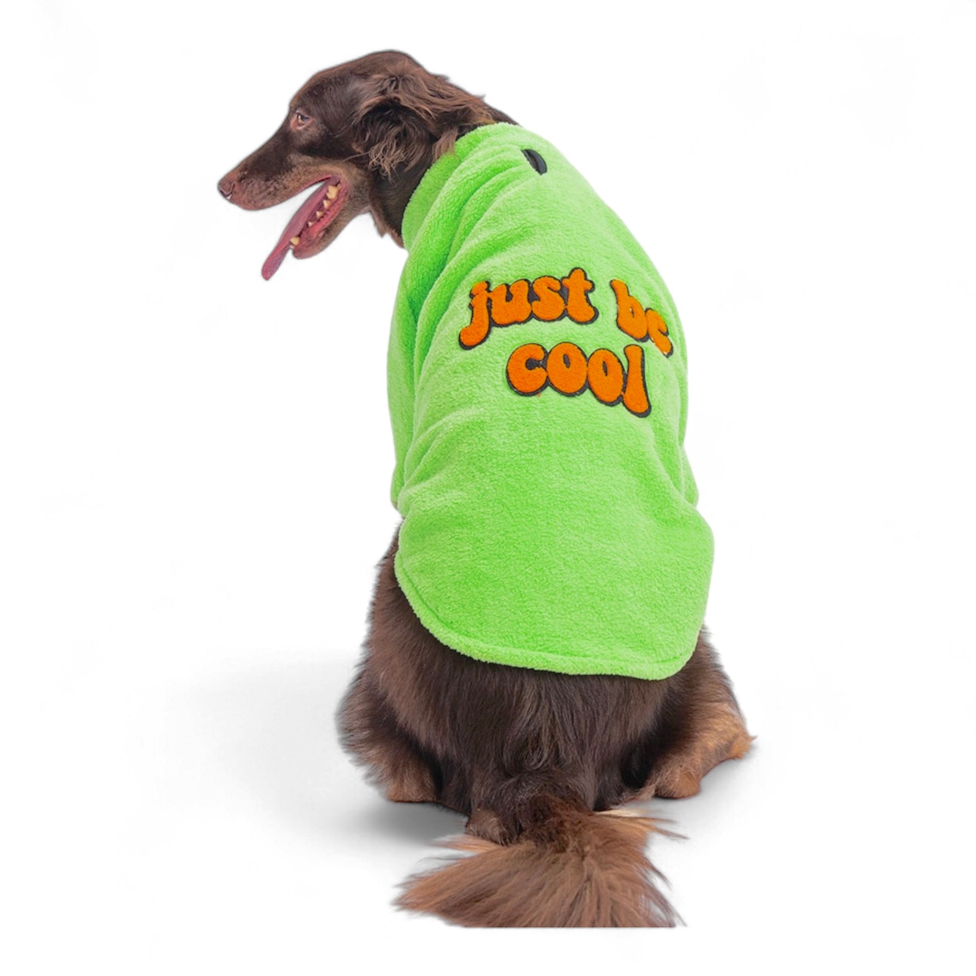 Chill Pet Sweater.