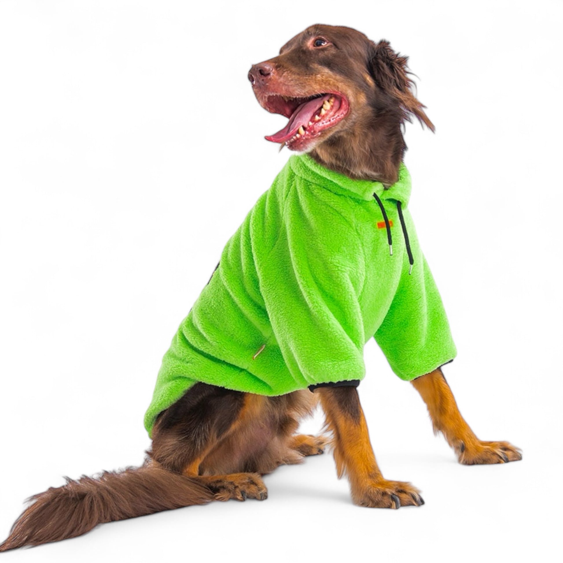 Chill Pet Sweater.