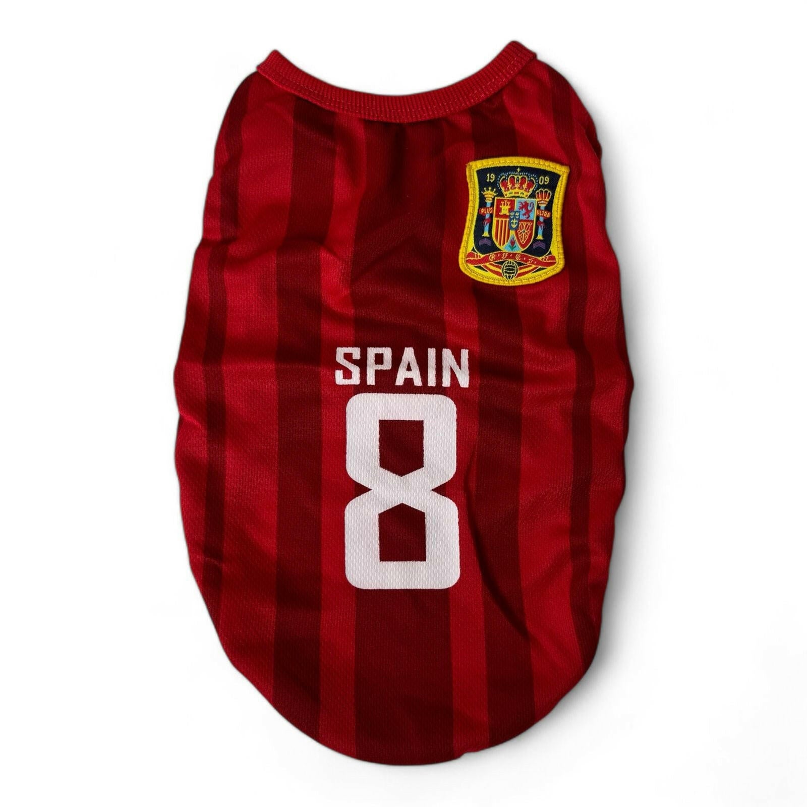 Spain Jersey.