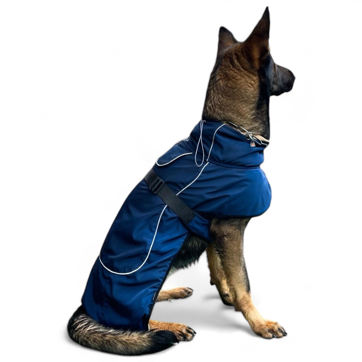 Defender Pet Raincoat