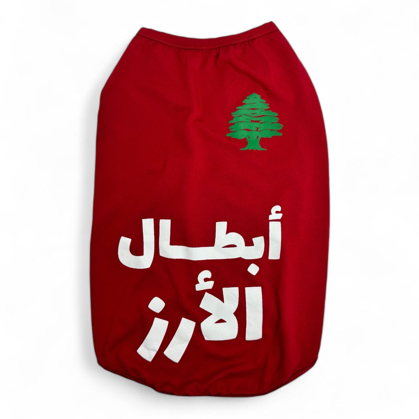 Abtal El Arez